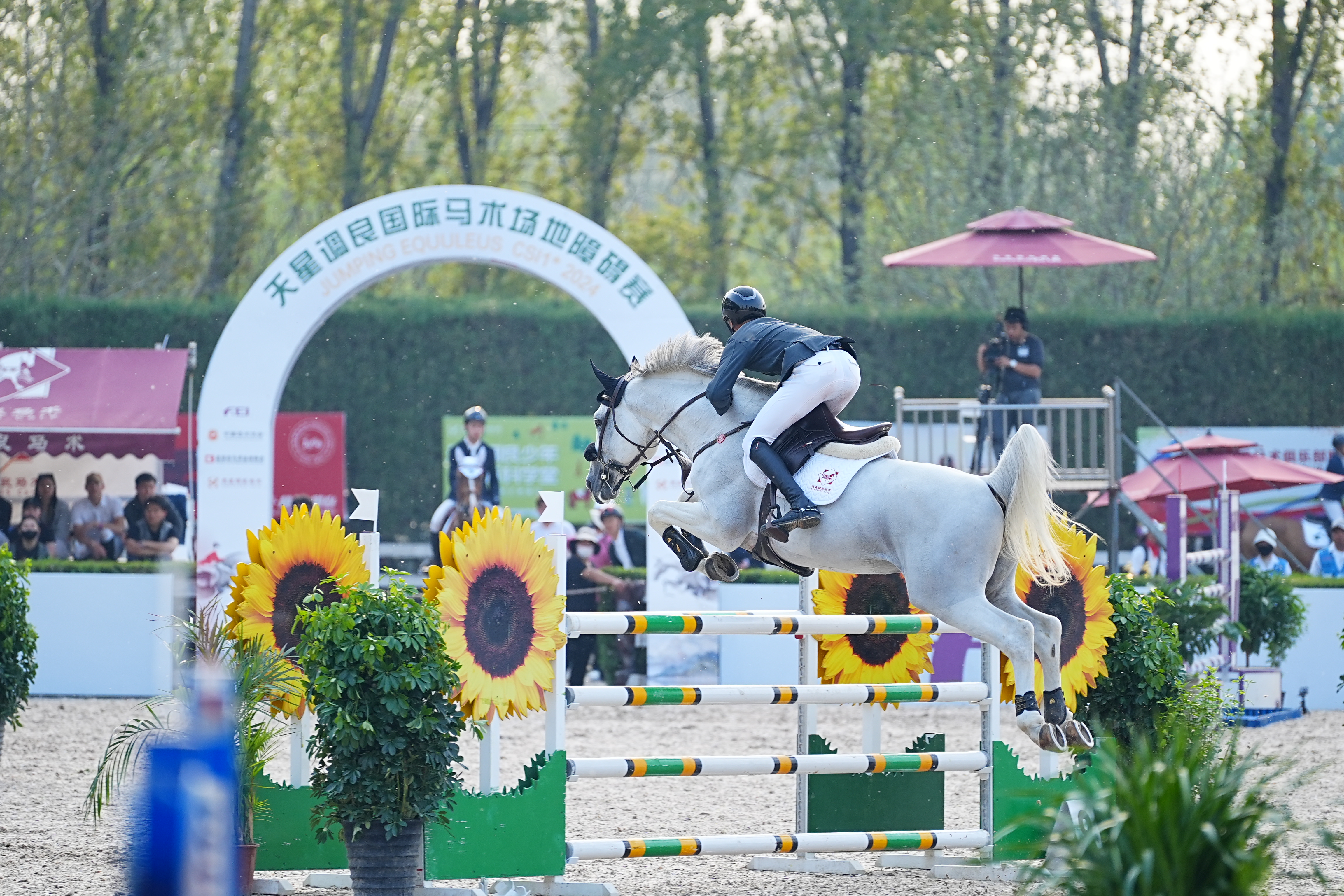 265组人马汇聚京城，国际马联赛事在北京收缰，