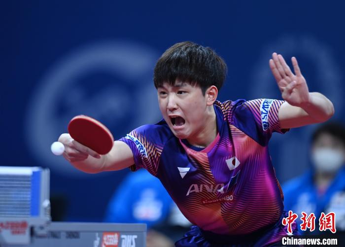 张本智和率日本男团零封巴西晋级八强